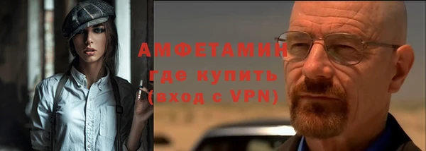 шишки Покачи